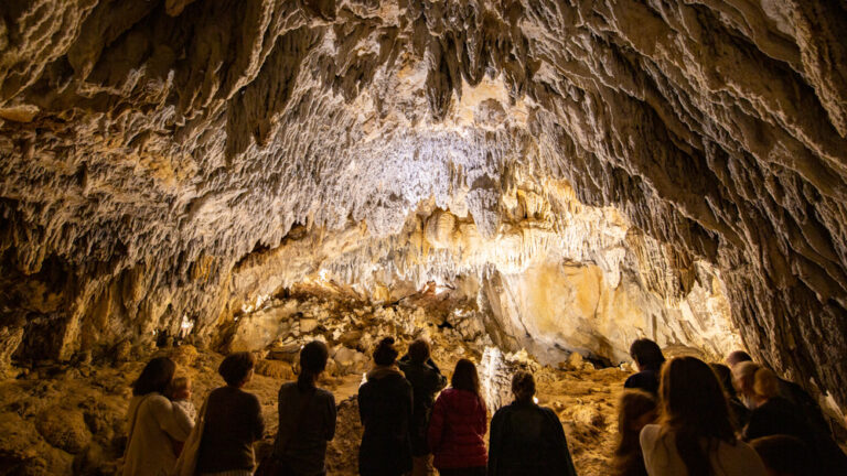 Cuevas de Urdax_Francis Vaquero (7)