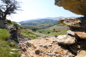 Vignoble Paulilles 9@ADT66