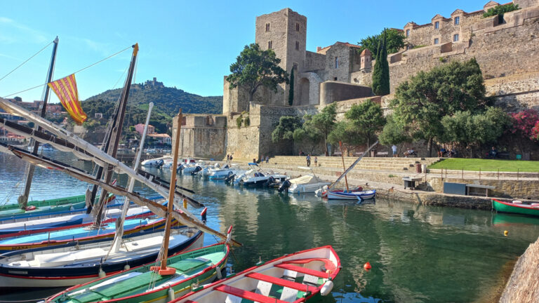 Château Royal Collioure ©ADT66 (49)