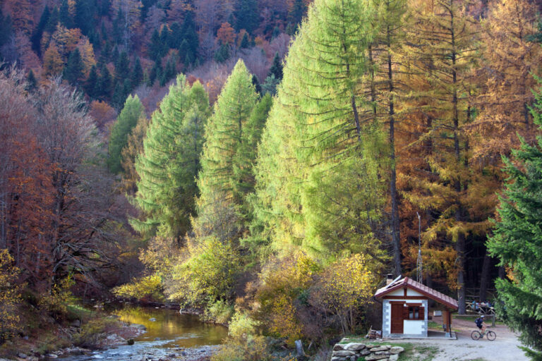 Irati_Bosque con caseta de información_7156_Oriol Conesa