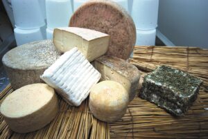 Mas Eroles©ACT_Servicios Editoriales Georama